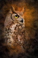 500_5801-1 Great Horned Owl