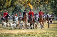 Presentation of the Hounds
