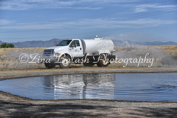 ZD5_6995-1
