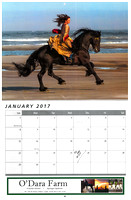 2017 South Central Friesian Horse Assn Calendar (Jan)