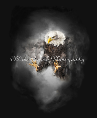 _ZB17554-1 Meg The Claw REV zb
