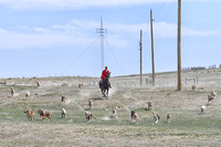 ZB1_0774-1