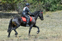 ZD5_2779-1