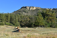 ZD5_2326-1