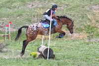 MCZ_0046-1